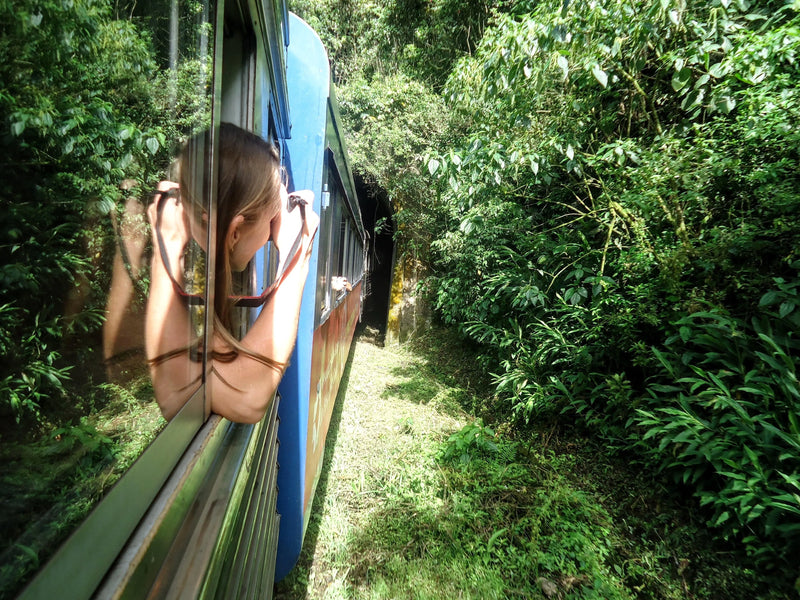 3 motivos para você fazer o passeio de trem Curitiba – Morretes