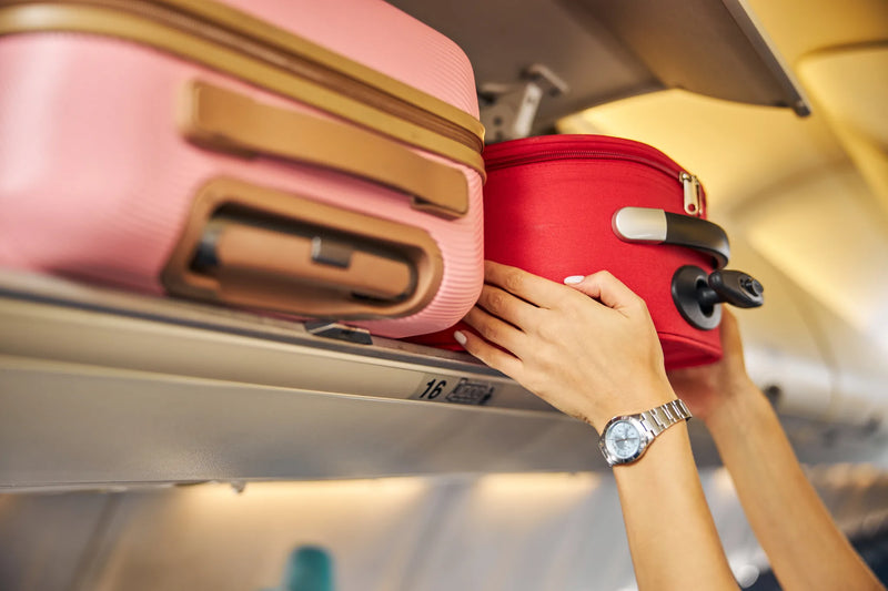 Tudo o que você precisa saber sobre Bagagens de Avião
