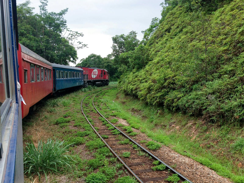 Tá pensando em fazer uma pequena viagem? Que tal um passeio pela cidade histórica de Morretes no litoral do Paraná?